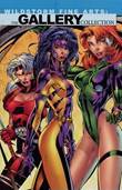 Wildstorm - Fine Arts the Gallery Collection