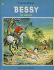 Bessy 95 De vakman