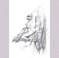 Jan Bosschaert - Collectie 1 - Spinsels - Shining Armor