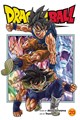 Dragon Ball Super 20 - Super Volume 20