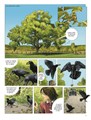 Fauna en Symboliek 3 - De Raaf, het Duifje en de Kraai