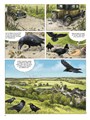 Fauna en Symboliek 3 - De Raaf, het Duifje en de Kraai