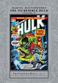 Marvel Masterworks 252 / Incredible Hulk 11 - The Incredible Hulk - Volume 11