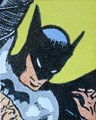 Batman - Diversen  - Batman - The Complete History, Hc+Stofomslag (Chronicle Books)