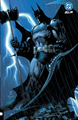 Absolute Batman 1 - The Zoo, Hc+Stofomslag B (DC Comics)