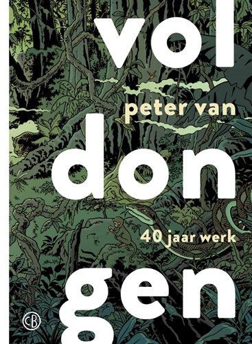 Peter van Dongen - Collectie  - Voldongen - 40 jaar werk
