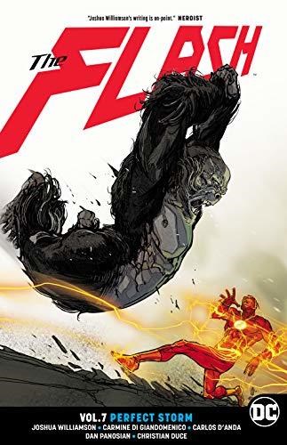 Flash, the - Rebirth 7 - Perfect Storm