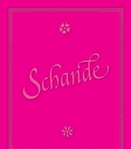 Peter van Straaten - Collectie  - Schande, Hardcover (Harmonie, de)