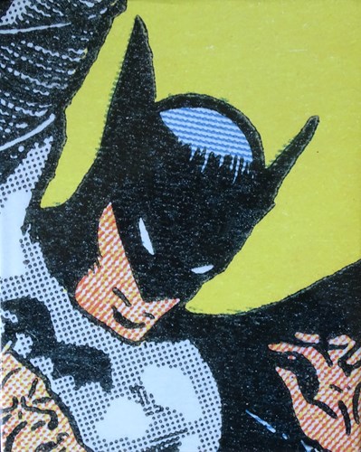 Batman - Diversen  - Batman - The Complete History, Hc+Stofomslag (Chronicle Books)